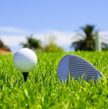 Edna Country Club