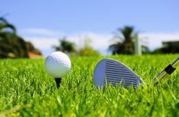 Edna Country Club